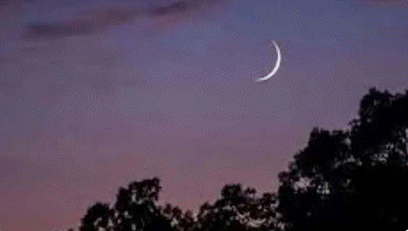 চাঁদ দেখা গেছে, বৃহস্পতিবার থেকে রোজা শুরু