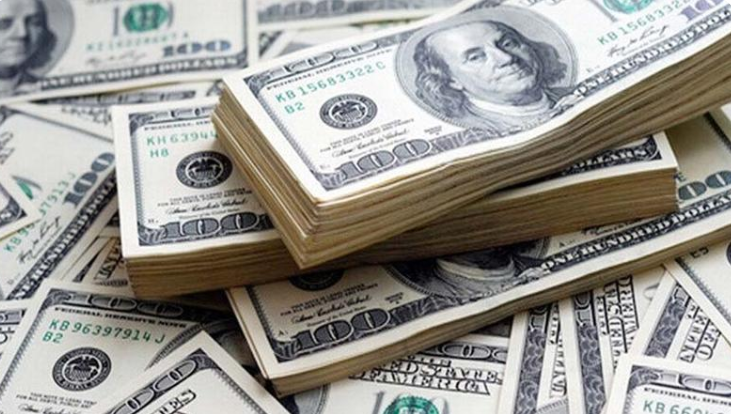 ফেব্রুয়ারির ২২ দিনে দেশে রেমিট্যান্স এসেছে ২৪৭ কোটি ডলার