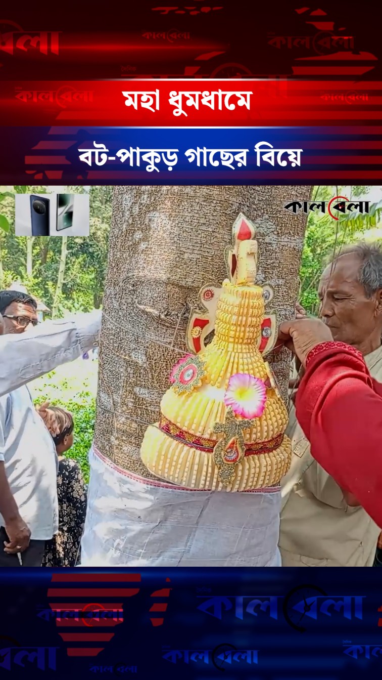 মহা ধুমধামে বট-পাকুড় গাছের বিয়ে